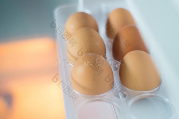 蛋躺在团里