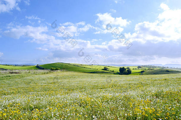 山地景观-绿色星球-地球-全景