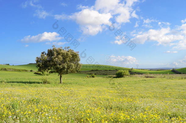 山地景观-绿色<strong>星球</strong>-地球-<strong>全景</strong>