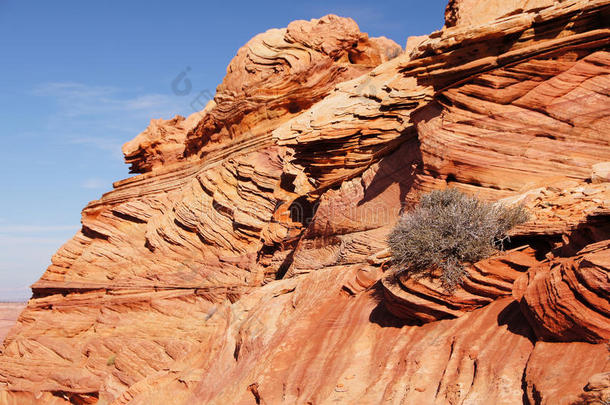 帕利亚峡谷朱红悬崖荒野，亚利桑那州，美国