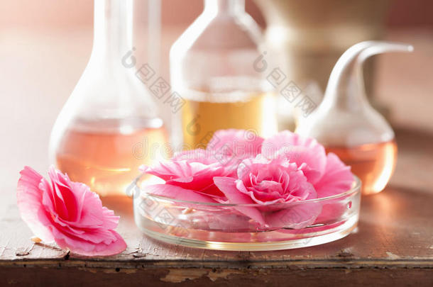 <strong>粉红花</strong>朵芳香疗法和炼金术