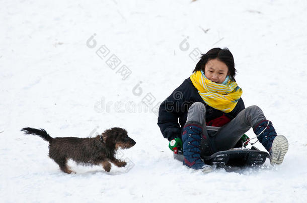 用<strong>狗拉雪橇</strong>的女孩