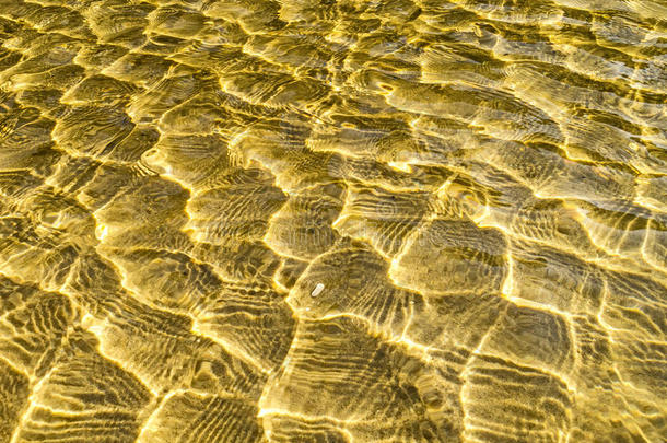 海底纹理，黄沙波在浅水中。