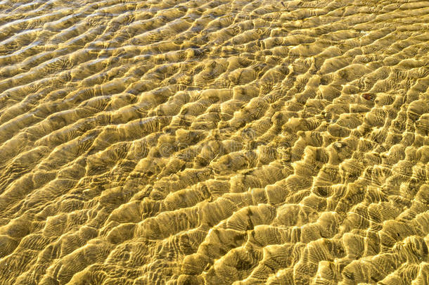 海底纹理，黄沙波在浅水中。