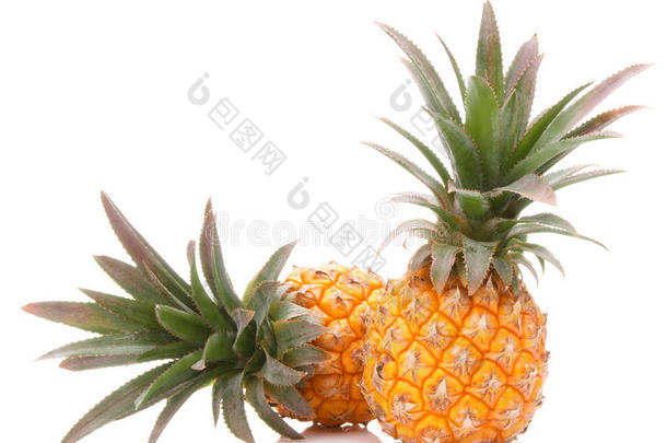 菠萝热带水果或菠萝