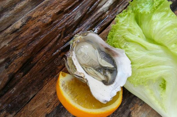 生蚝生菜特写