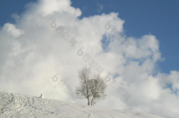 冬季雪景