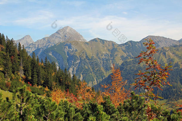 秋天的<strong>卡尔文</strong>德<strong>尔</strong>山谷和山脉，奥地利