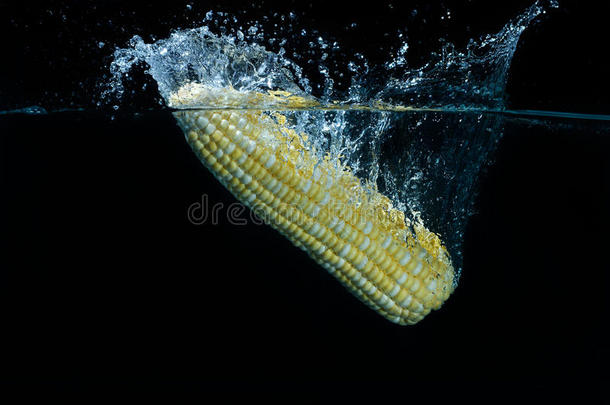 新鲜的黄色玉米掉入水中