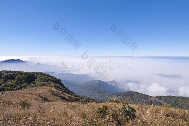 在邱梅泛自然小径和小路的观点