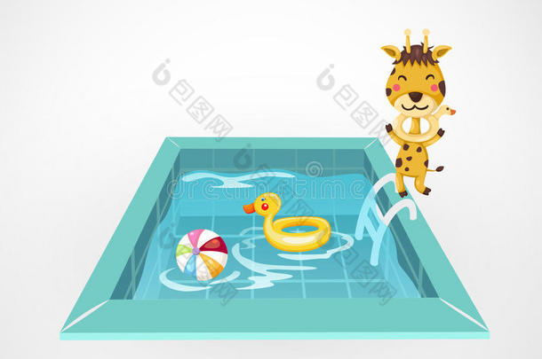 长颈鹿和游泳池