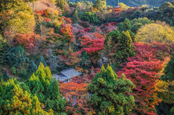 京都清水正孝寺的景色