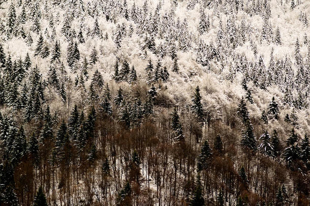 阿尔卑斯山冬季风光-<strong>冰天</strong>雪地