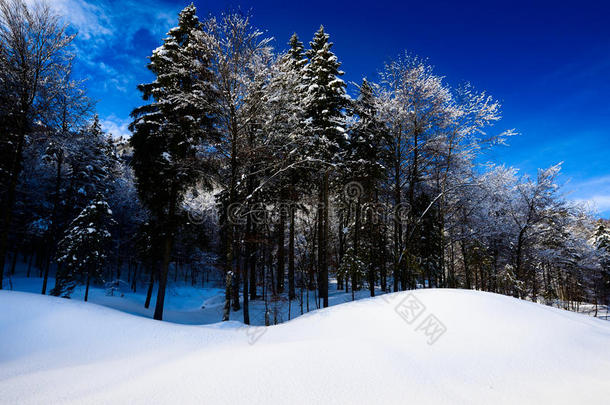 阿尔卑斯山冬季风光-冰天雪地