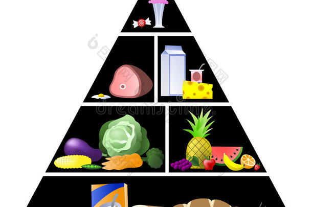 传统食物金字塔矢量图