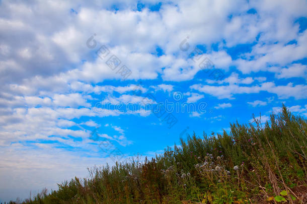 青草坡，蓝天白云