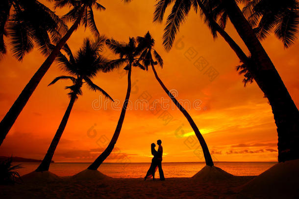 日落时分，一对情侣在热带海滩与棕榈树亲吻