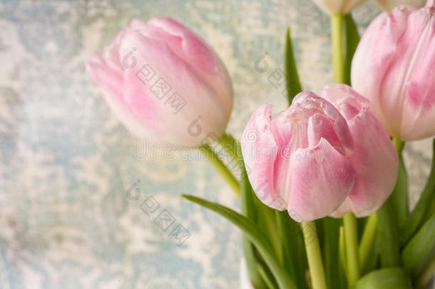 粉红色和白色郁金香花束，带文本空间