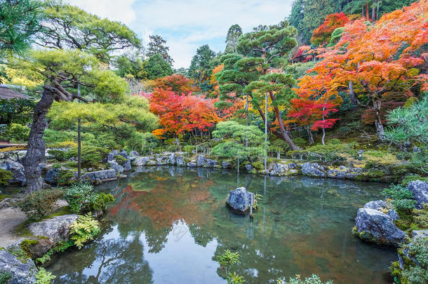 京都金阁寺千森开玉寺花园