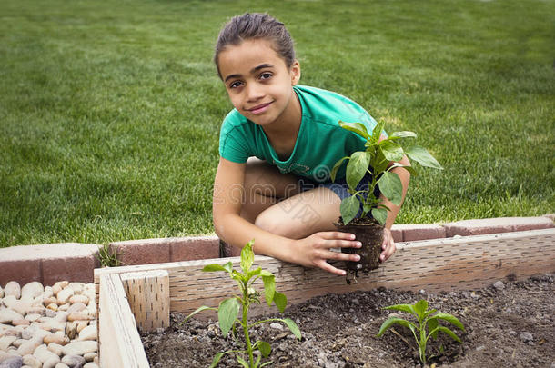 非洲裔美国女孩种植一种新植物