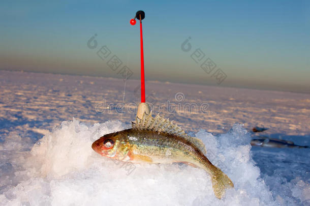 冰钓鱼竿