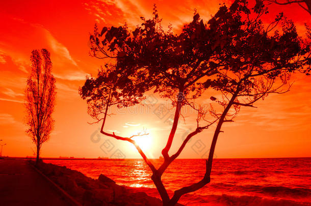 海边的红日出
