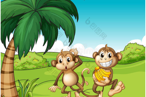 快乐的<strong>猴子</strong>在山上吃<strong>香蕉</strong>