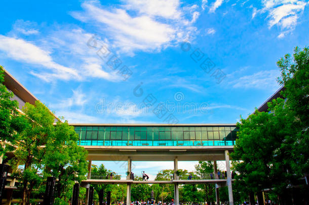 马希多学习中心大学的美好天空