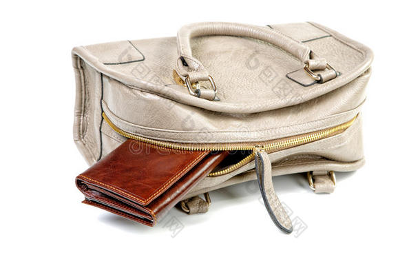 钱包从一个女手提包里露出来