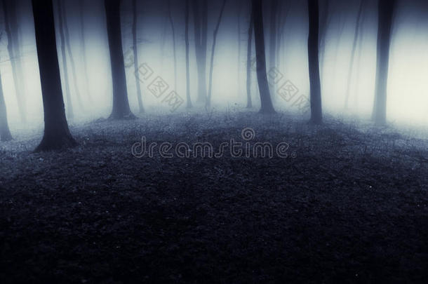 夜晚有雾的黑暗的超现实森林