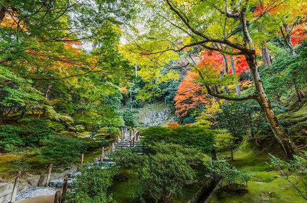 京都金阁寺千森开玉寺花园