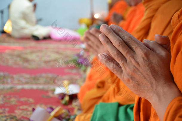 祈祷吧，泰国的僧侣们
