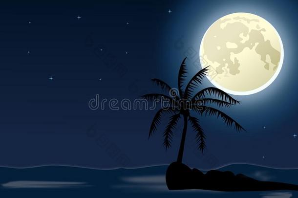 夜空明月的小岛上的棕榈树