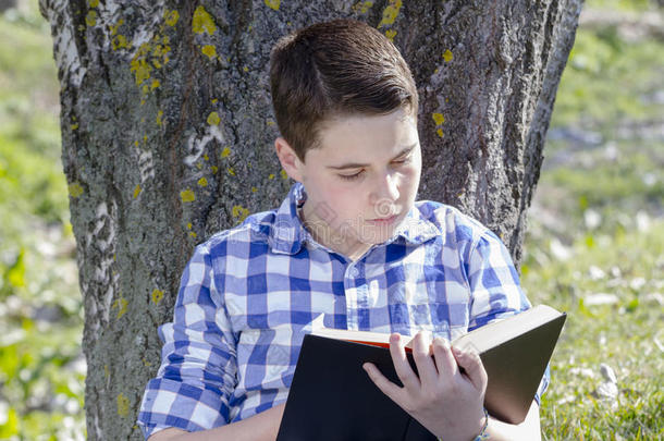 小男孩在林中看书，景深浅，<strong>临摹</strong>空间小
