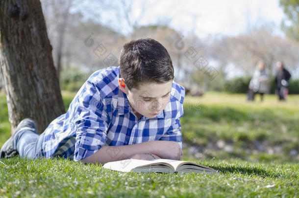 小男孩在林中看书，景深浅，临摹空间小