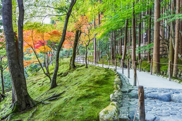 京都金阁寺千森开玉寺花园