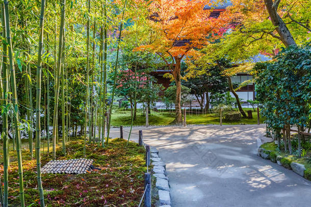 京都金阁寺千森开玉寺花园