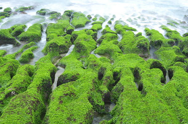 潮汐小溪的火山礁形成。