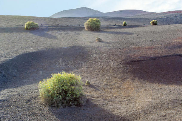 国家公园的火山景观