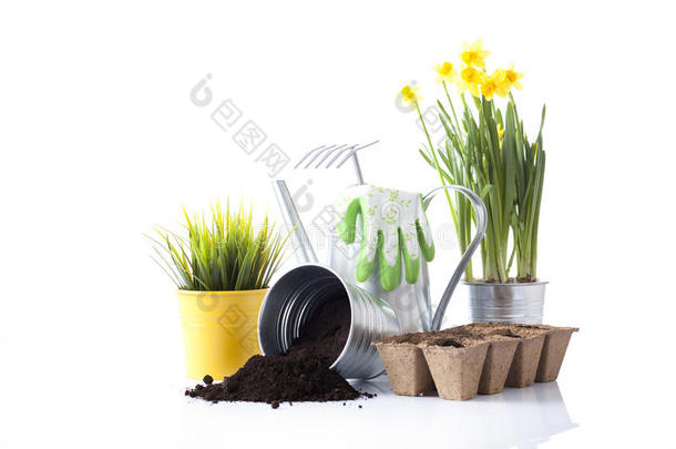 园林工具、花卉和土壤
