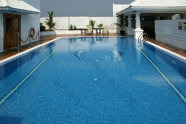 在这个完美的暑假里，豪华的游泳池可以让你凉快一下
