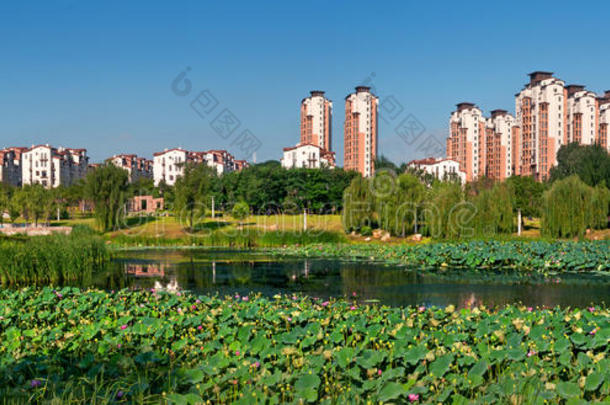 沈阳大溪地