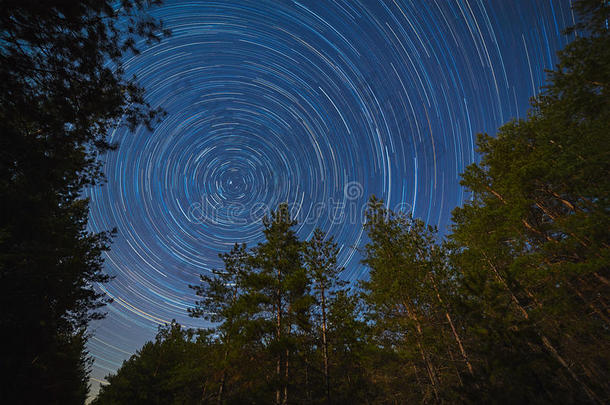 星空背景下的森林