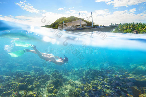 阿宝岛阳光明媚的海底世界。