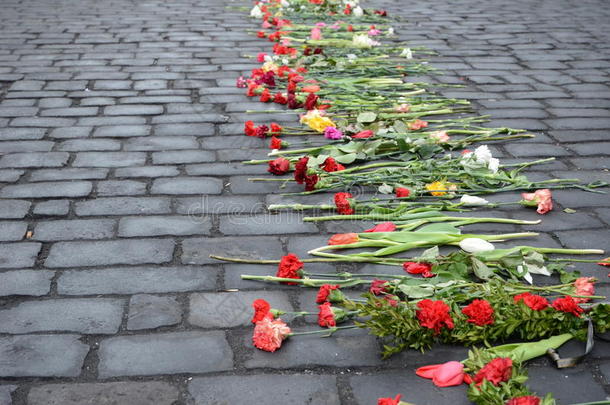 乌克兰街头的悲伤之花