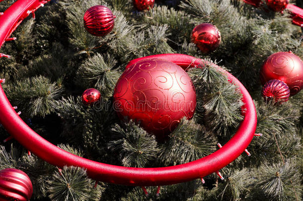 圣诞树上的<strong>红球</strong>