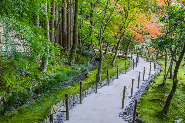 京都金阁寺千森开玉寺花园