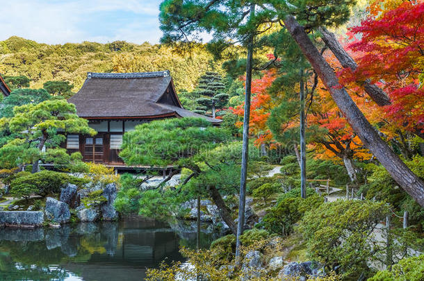 京都金阁寺千森开玉寺花园