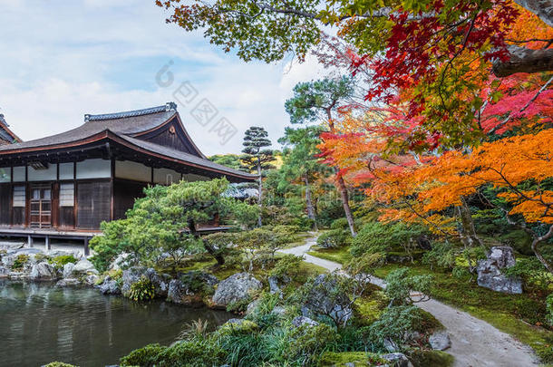 京都金阁寺千森开玉寺花园