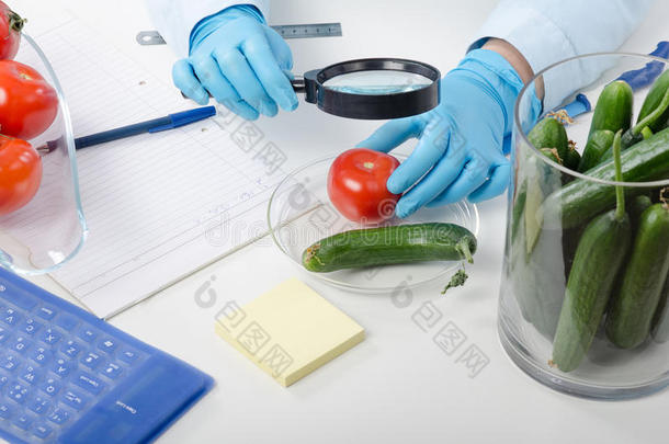植物控制实验室检测番茄